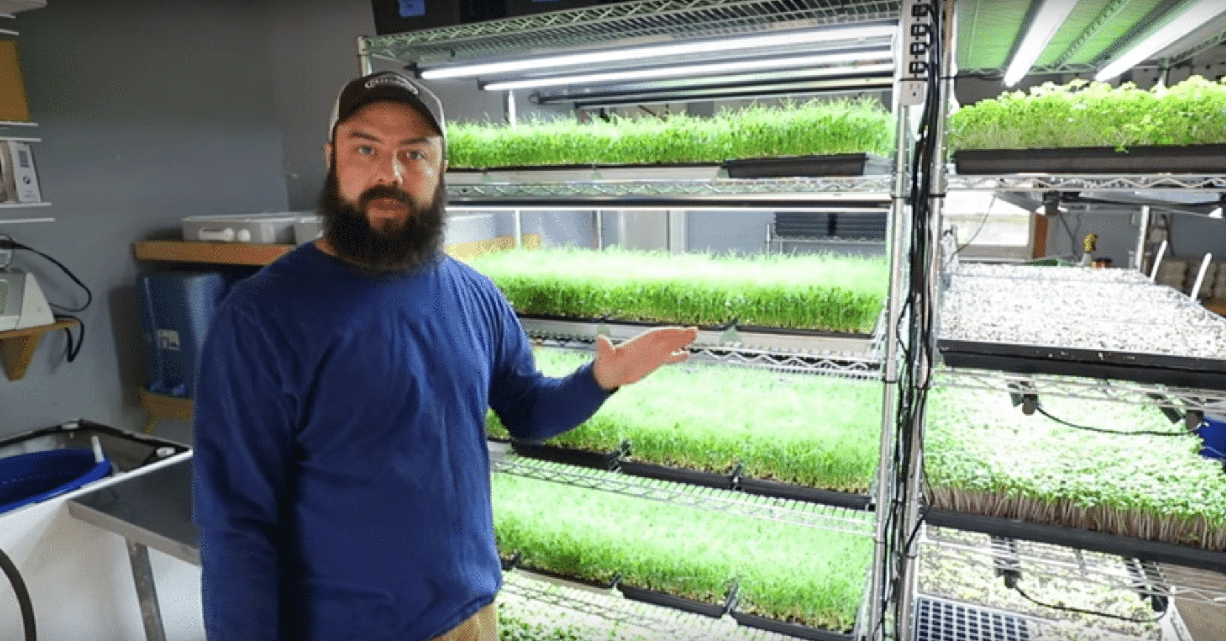 Josh Sattin's microgreens professional setup