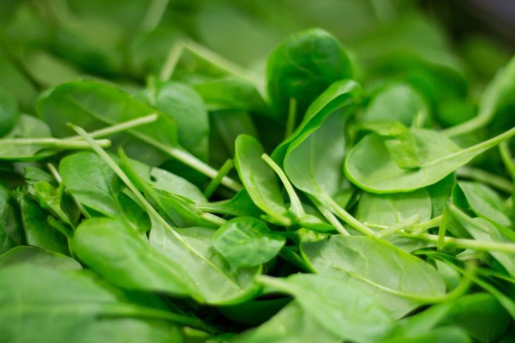 Hydroponic spinach